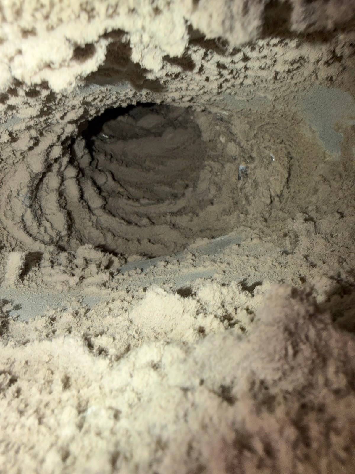 A dryer vent packed with lint