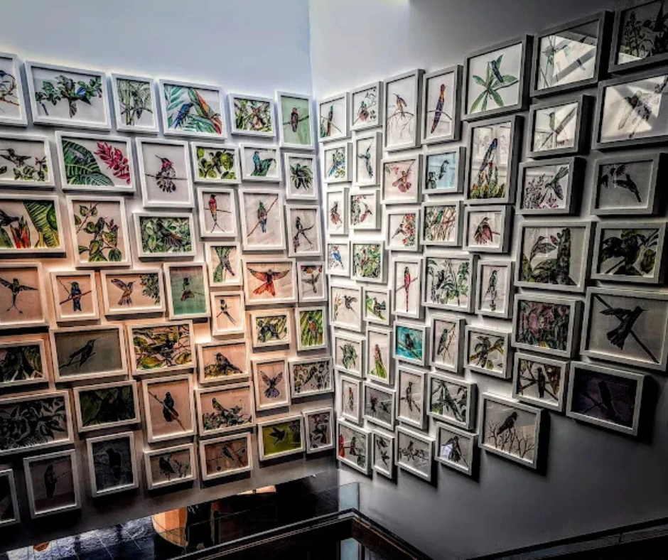 Interior of the Visual Arts Center in Summit, NJ, featuring walls filled with diverse art exhibits and spaces for cultural activities and creative workshops.